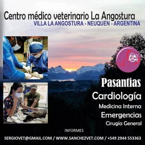 Dr. Sergio Sánchez - www.sanchezvet.com