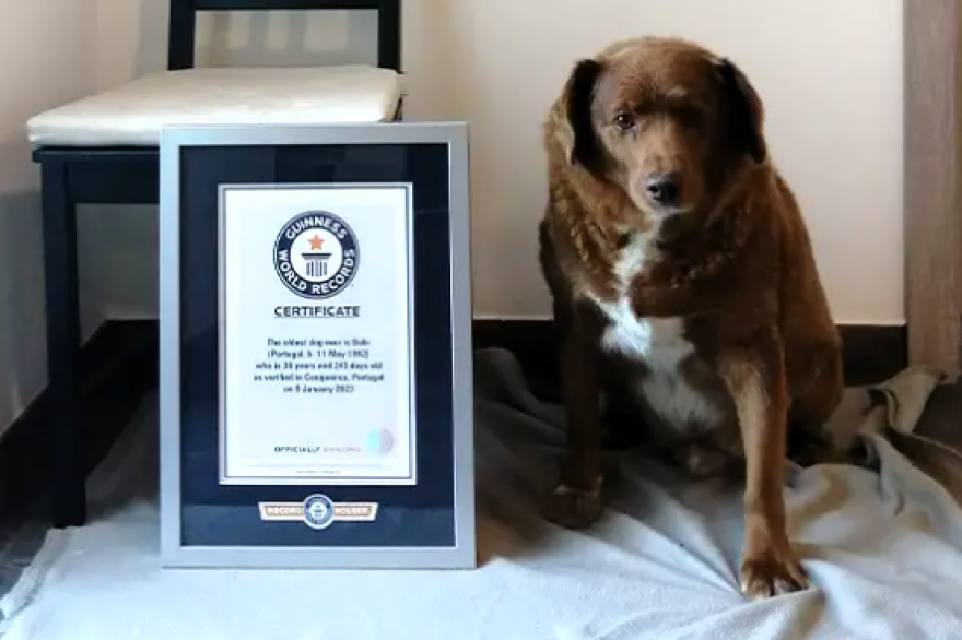 Foto: Guinness World Records