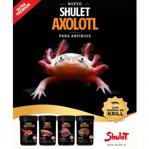 shulet.ar