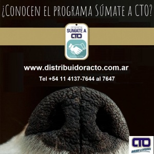 CTO - www.distribuidoracto.com.ar