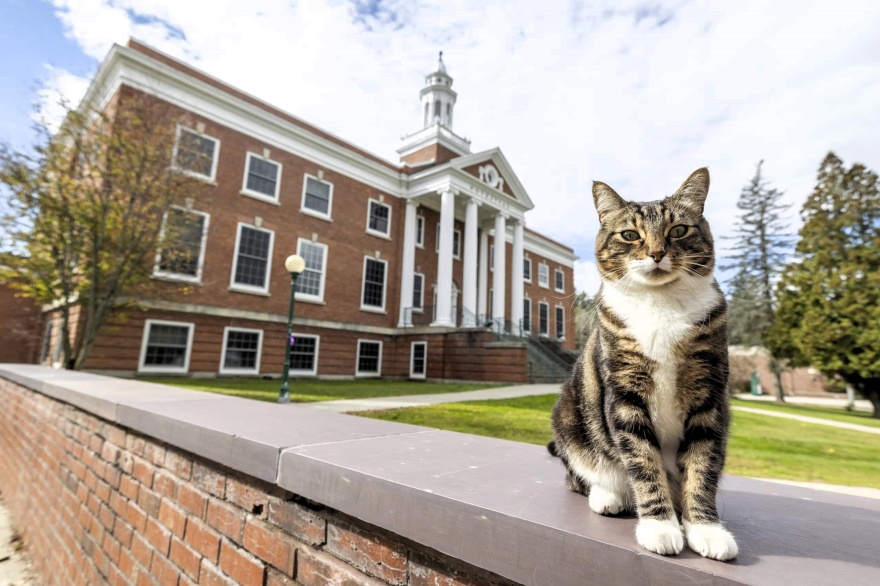 Foto: Universidad Estatal de Vermont