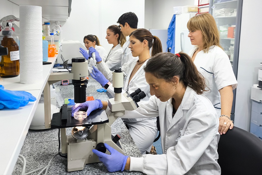Trabajo en mesada Grupo de Estudio en Enfermedad de Chagas. Foto: CONICET Rosario.