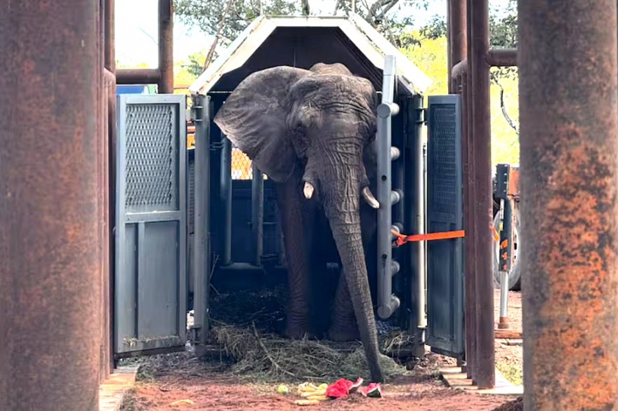 Pupy ingresando al Santuario. Captura de video