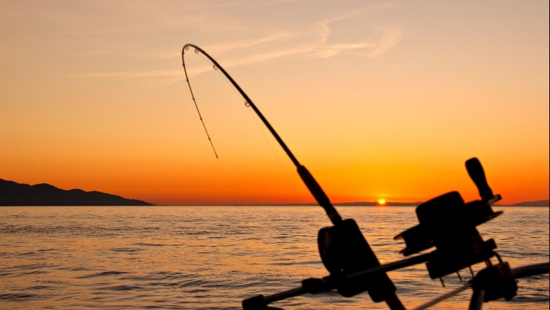 Huka: nueva aplicación para monitorear los efectos de la pesca recreativa