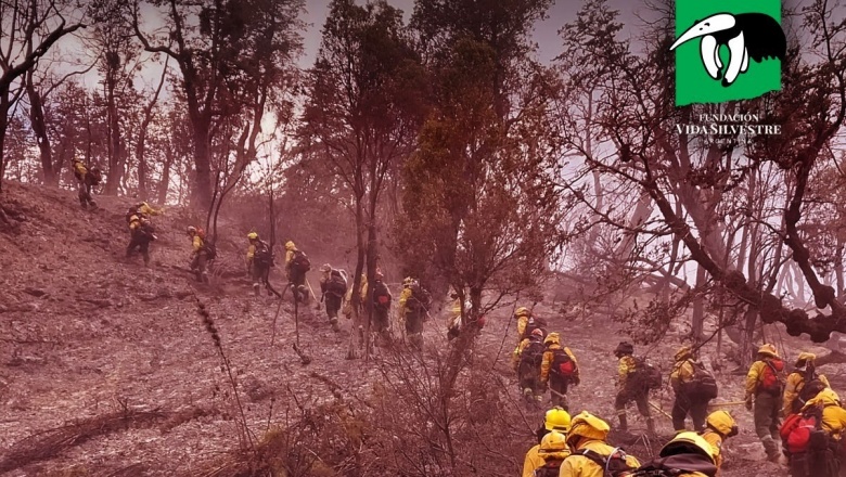Parque Nacional Los Alerces: ¡Basta de incendios!