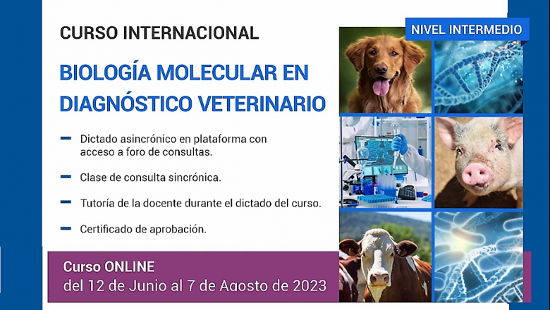 12 de Junio al 7 de Agosto - Curso Internacional de Biología Molecular en Diagnóstico Veterinario