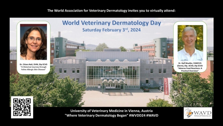 Día Mundial de la Dermatología Veterinaria