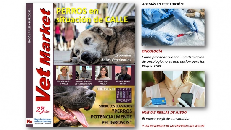 Perros en situación de calle / Documento de AECVA acerca de los PPP