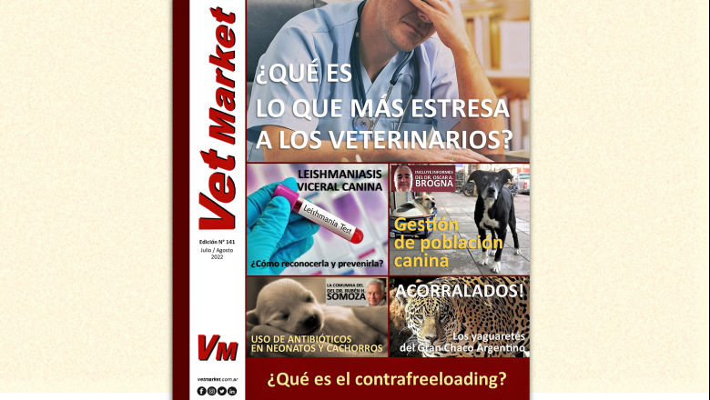 Estrés en los veterinarios - Gestión de población canina - Leishmaniasis - Antibióticos en Neonatos y Cachorros