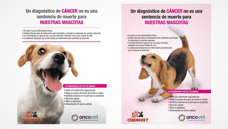 "Un diagnóstico de cáncer no es una sentencia de muerte para las mascotas"