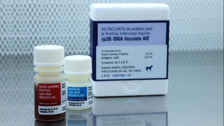 INTA: Duplican en tiempo récord la producción anual del kit de anemia infecciosa equina