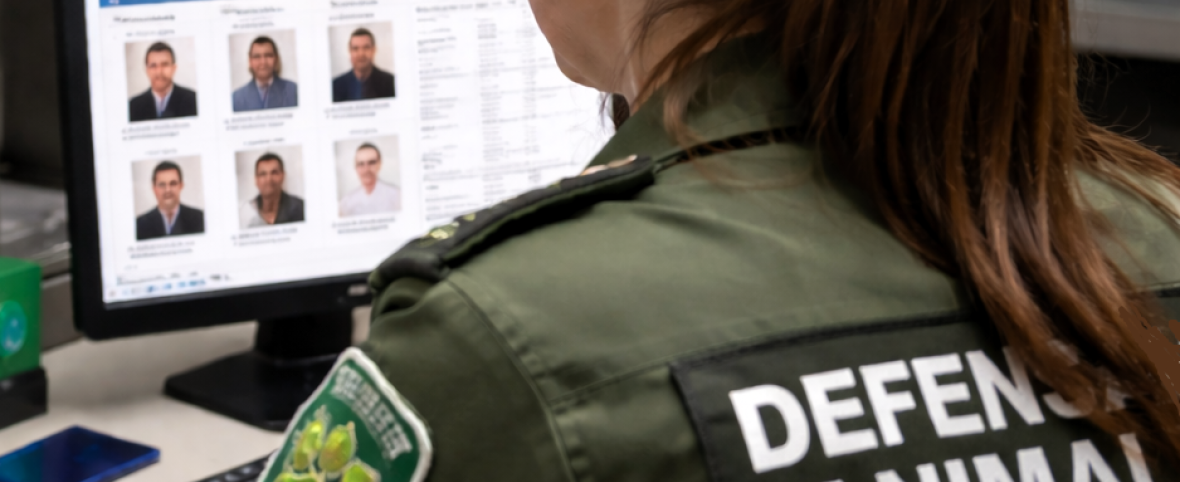 Paraguay implementó el Registro Nacional de Agresores de Animales