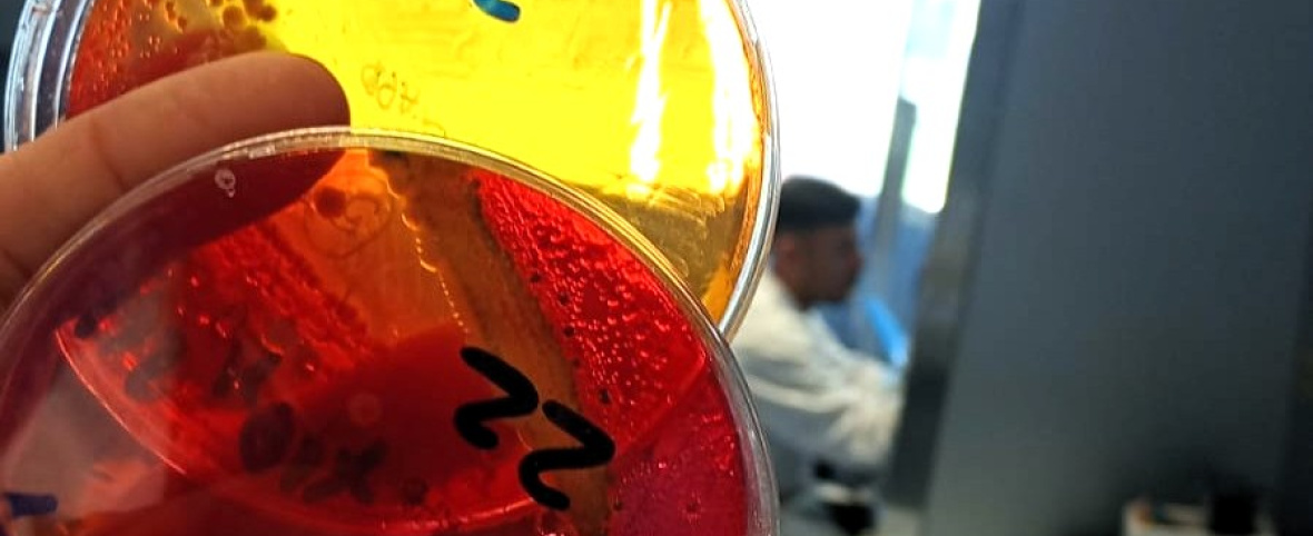 Laboratorio del INTA se suma a la red de laboratorios del SENASA