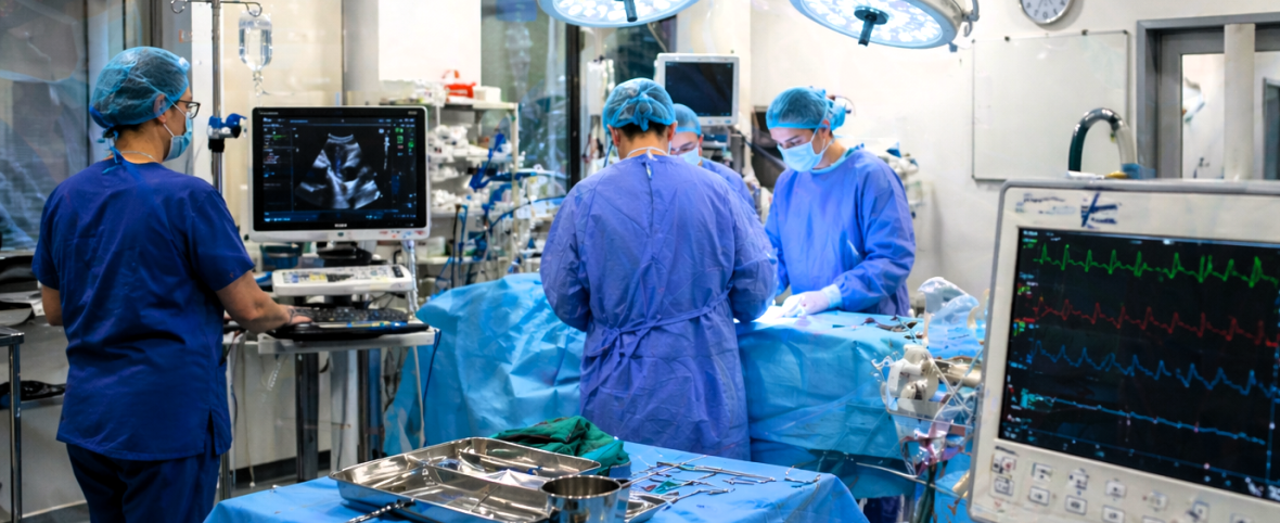 Cirugía mitral en perros: nuevos datos sobre riesgos y recuperación