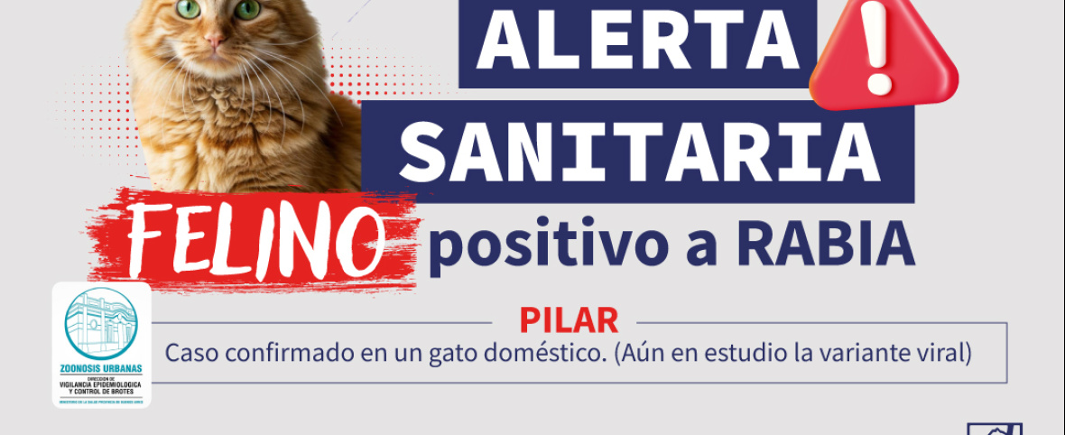 Confirman un caso de rabia en un gato doméstico en Pilar