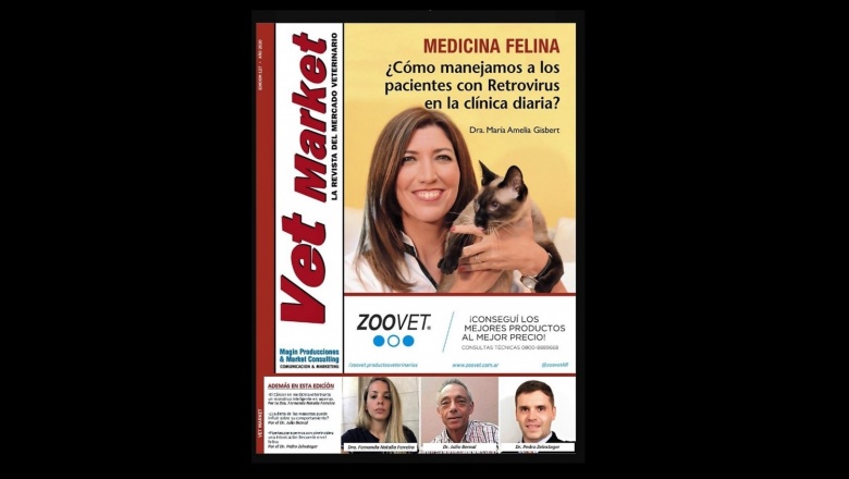 La Dra. María Amelia Gisbert explica como manejar a los pacientes con retrovirus en la clínica diaria