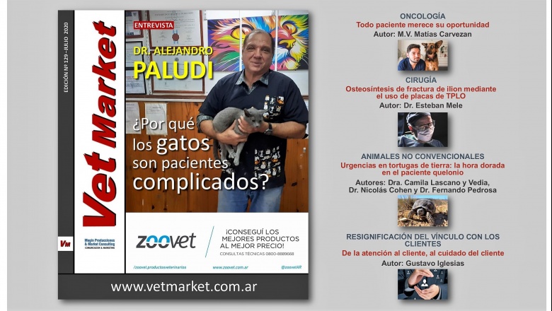 El Dr. Alejandro Paludi explica por qué los gatos son pacientes complicados