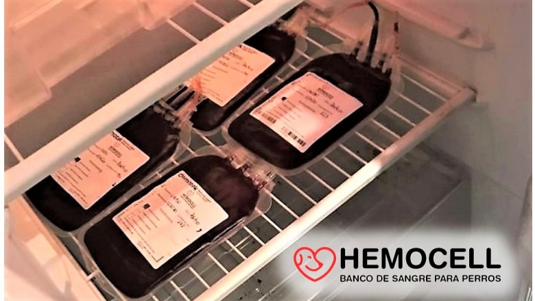 La importancia de disponer de un banco de sangre