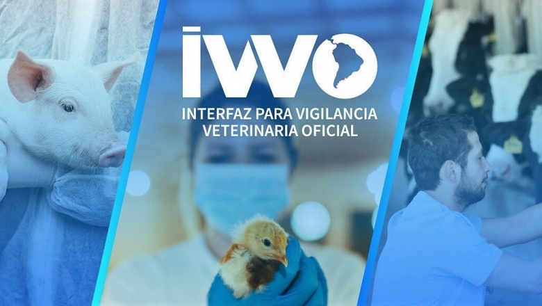 IVVO: Nueva plataforma sobre vigilancia veterinaria de enfermedades animales