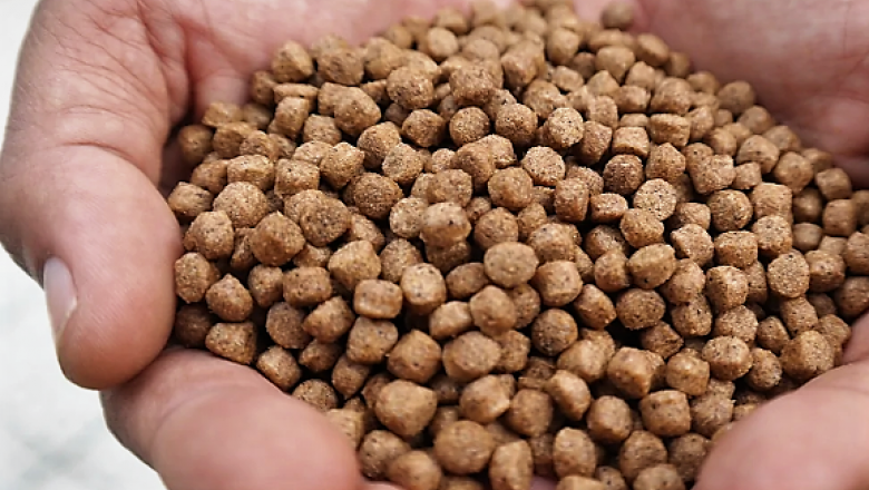 CAENA advierte sobre la preocupante situación de la industria de nutrición animal