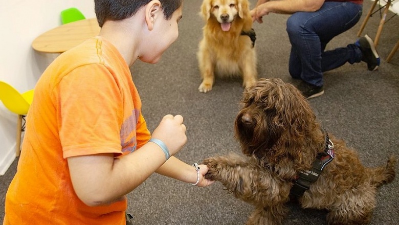 El valioso aporte de los perros de terapia en la contención de niños y adolescentes que deben atravesar instancias judiciales