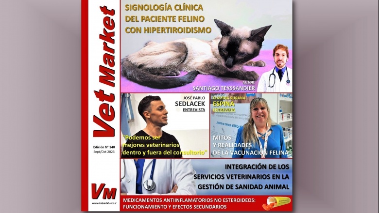 Signología clínica del paciente felino con hipertiroidismo / Como ser mejores veterinarios / Vacunación felina / AINEs / Gestión de sanidad animal