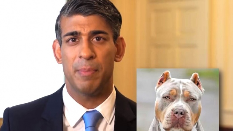 El Primer Ministro del Reino Unido anunció la prohibición de la raza canina American XL Bully