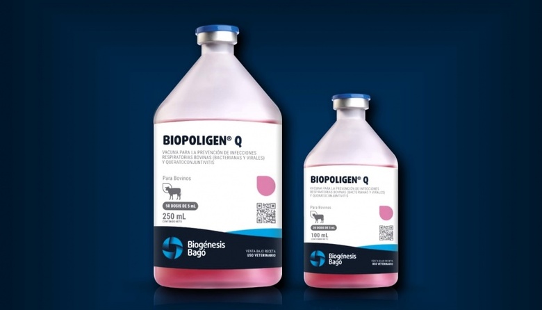 Biopoligen Q: la nueva vacuna combinada para bovinos de Biogénesis Bagó