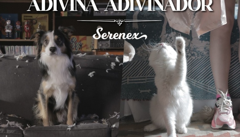 König lanza una nueva campaña para Serenex: “Adivina Adivinador”