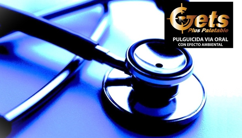 Gets ofrece un importante beneficio a los médicos veterinarios de Argentina