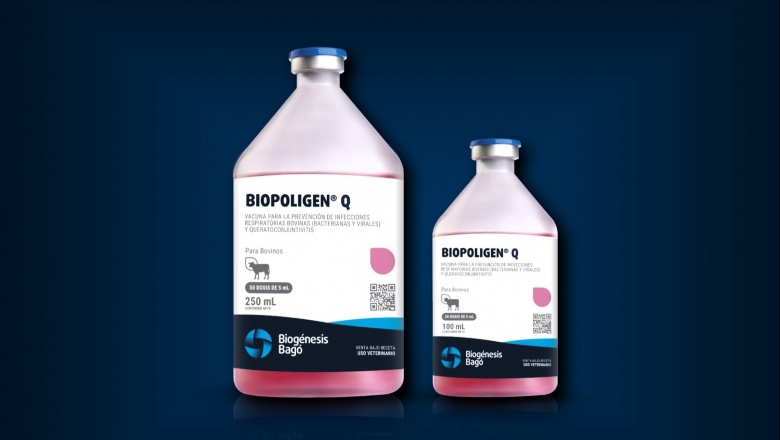 Biopoligen Q: la nueva vacuna combinada para bovinos de Biogénesis Bagó