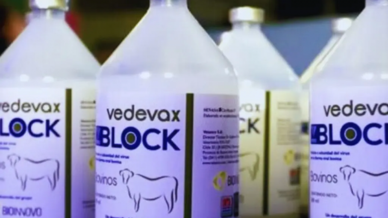 Vedevax Block: la vacuna contra la diarrea viral bovina que logra reducir la mortalidad y aumentar la preñez
