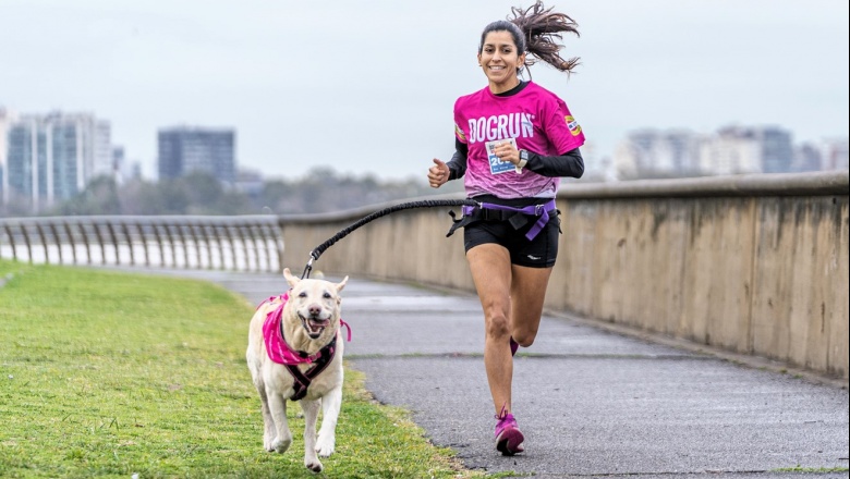 Perros y tutores juntos en el deporte y el esparcimiento