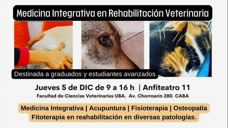 5 de Diciembre - Jornada Medicina Integrativa en Rehabilitación Veterinaria