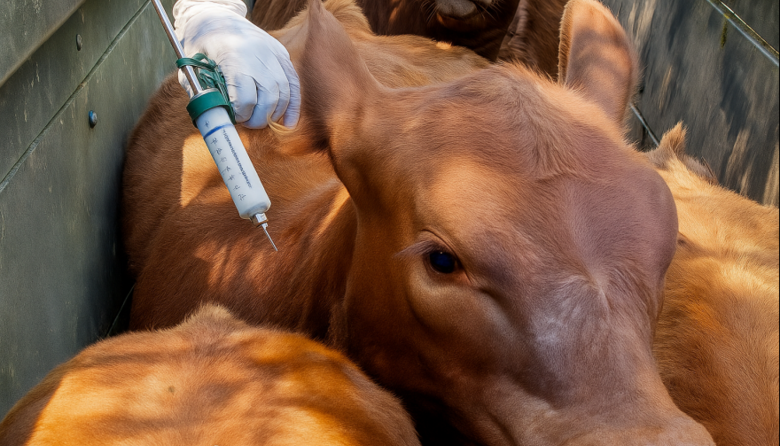 Biogénesis Bagó valoró la Resolución 711/2025 del Senasa