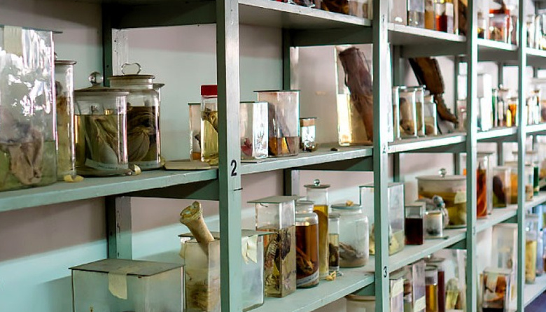 La UBA se suma a la gran noche cultural porteña