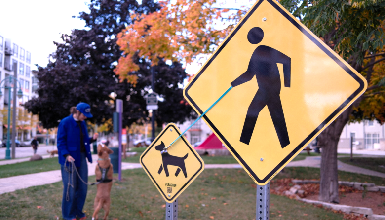 La importancia de las campañas urbanas sobre tenencia y bienestar animal