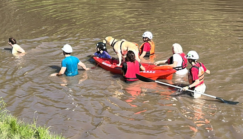 Primer paso hacia una brigada acuática veterinaria