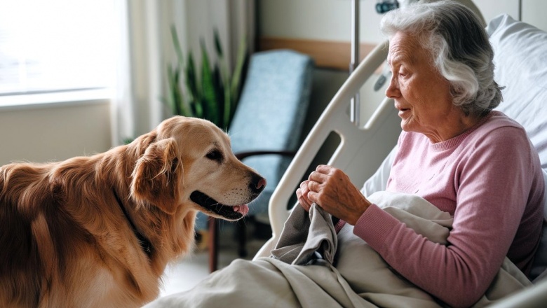 Un hospital permite a los enfermos terminales despedirse de sus animales de compañía