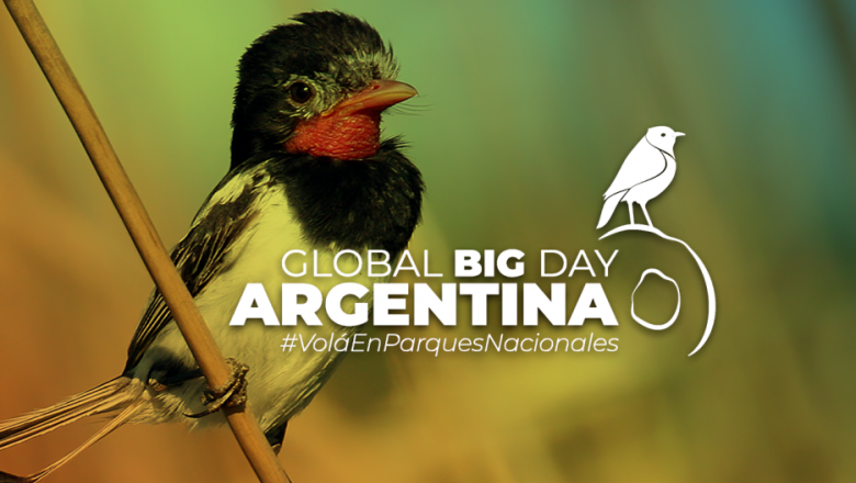 Se viene una nueva edición del evento mundial de observación de aves