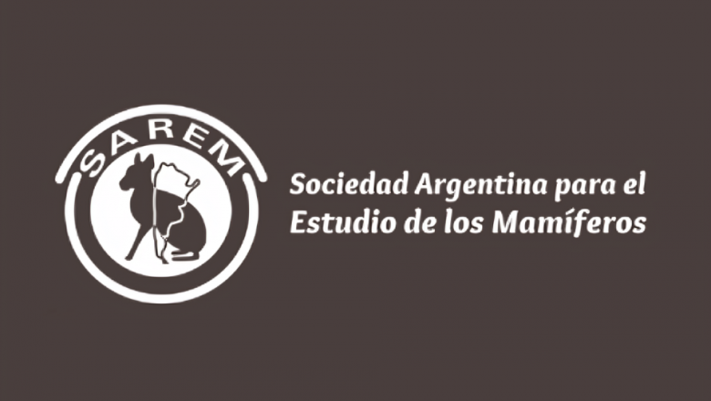 SAREM: "Expresamos nuestra profunda preocupación por el contenido de la Disposición 381/2025"