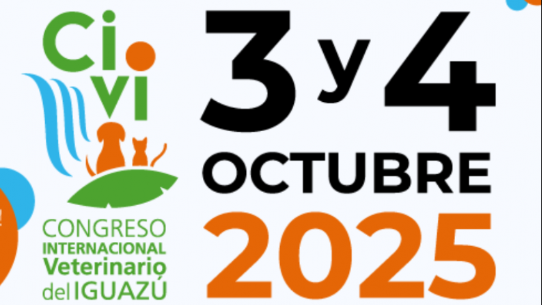 3 y 4 de Octubre - CIVI