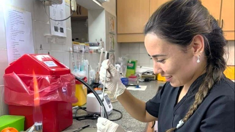 Estudiarán la resistencia a antibióticos en cepas de Escherichia coli de origen animal