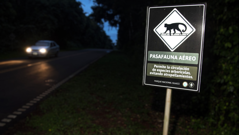 Nuevo informe sobre atropellamientos de fauna en áreas protegidas del NEA