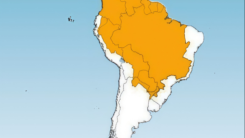 Argentina refuerza la vigilancia y la prevención frente al brote de fiebre amarilla en la región