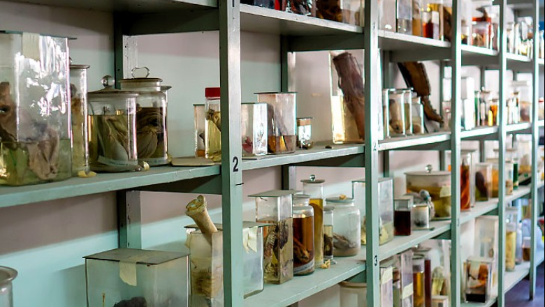 La UBA se suma a la gran noche cultural porteña