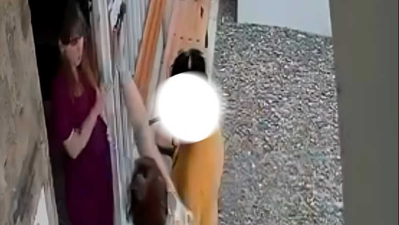 Córdoba: indignación por el ataque a una profesional veterinaria en su lugar de trabajo