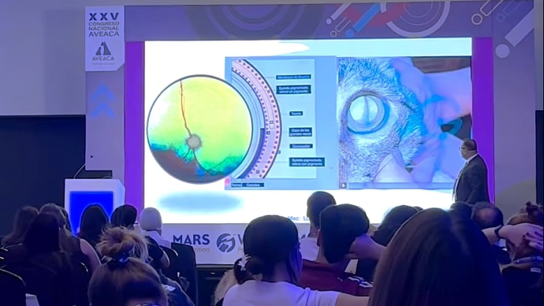 AVEACA realizó una nueva edición de su Congreso Nacional