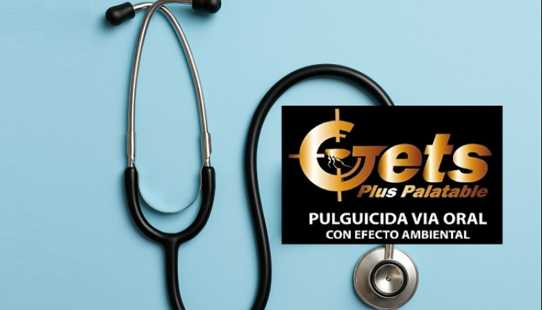 Gets ofrece un importante beneficio a los médicos veterinarios de Argentina