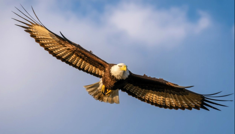 Proteger a las aves es proteger la vida en la Tierra
